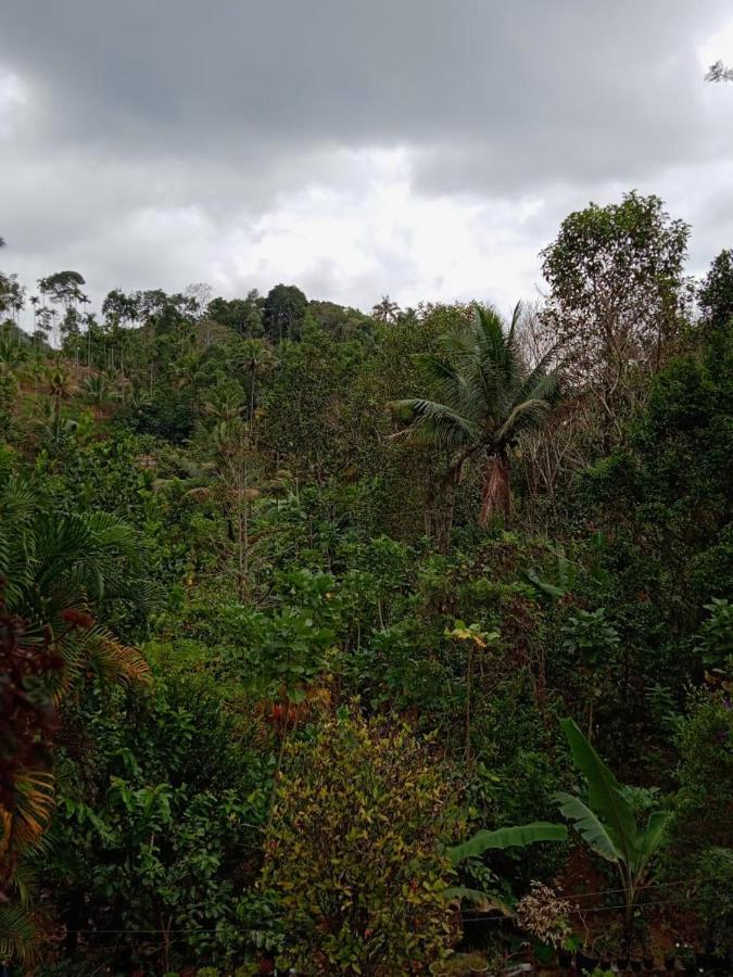 Maliyeckal Homestay Munnar Kültér fotó