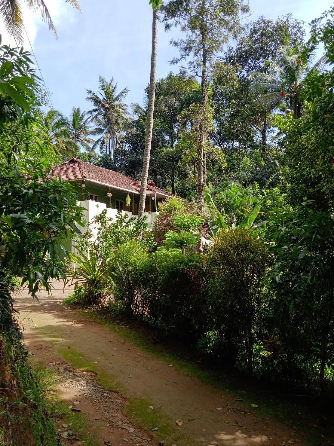 Maliyeckal Homestay Munnar Kültér fotó