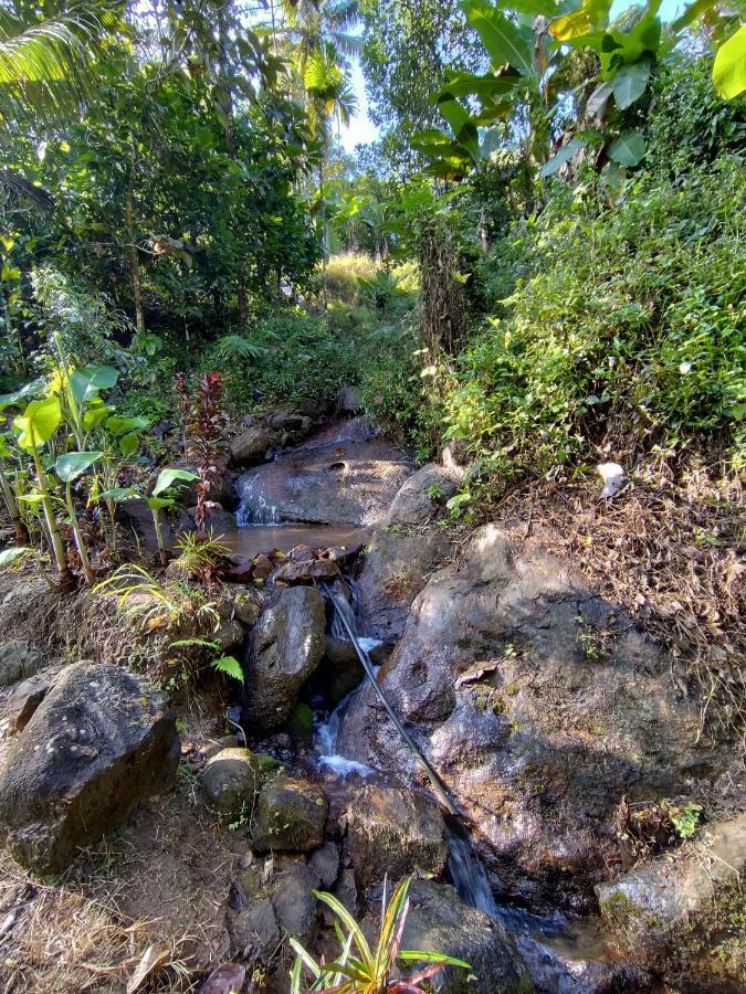 Maliyeckal Homestay Munnar Kültér fotó