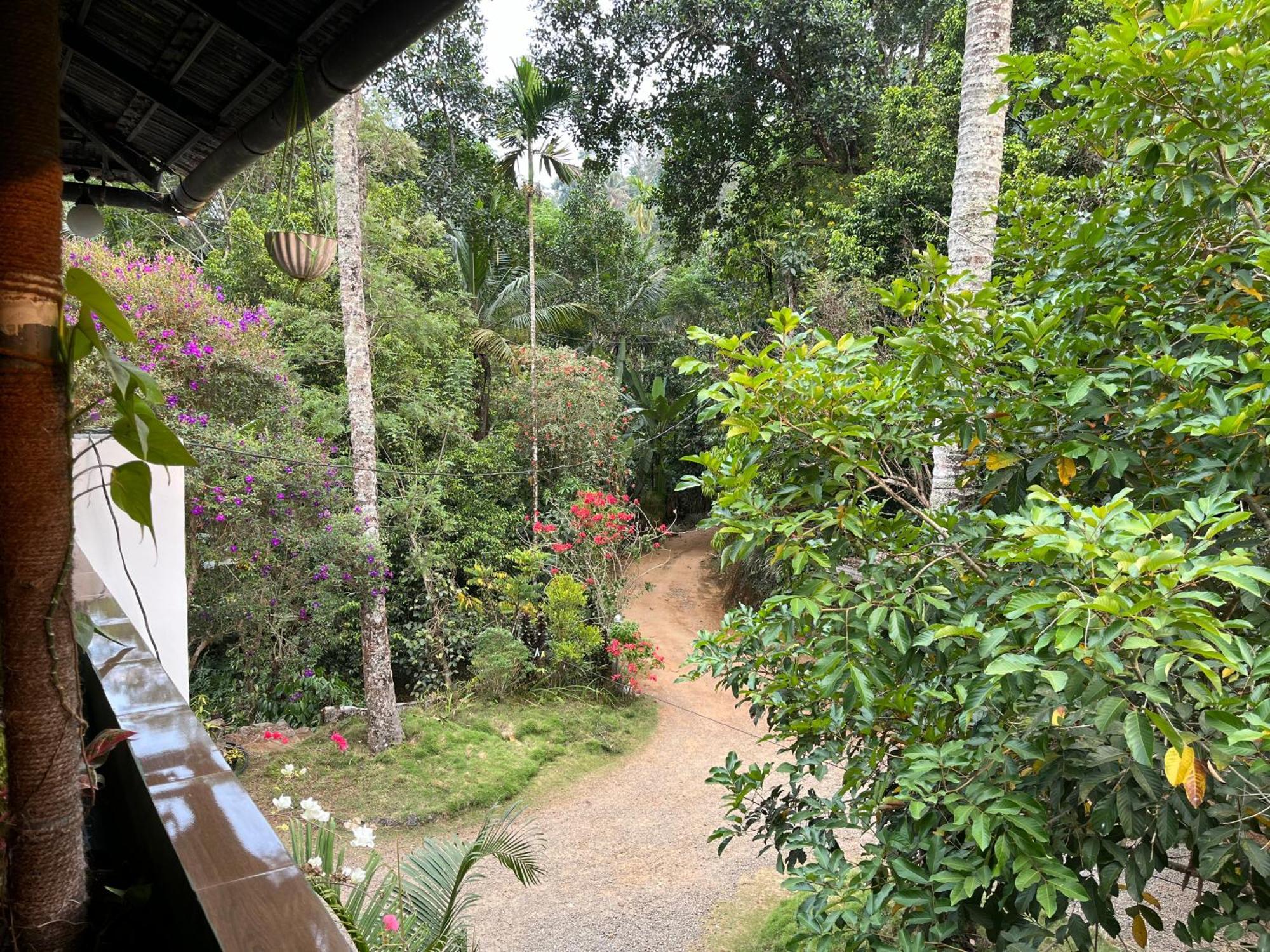 Maliyeckal Homestay Munnar Kültér fotó